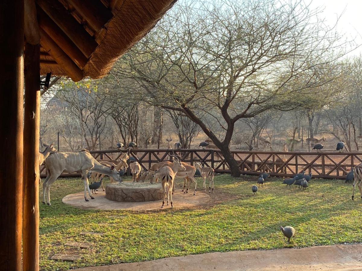 Genet House Holiday Home Marloth Park Esterno foto