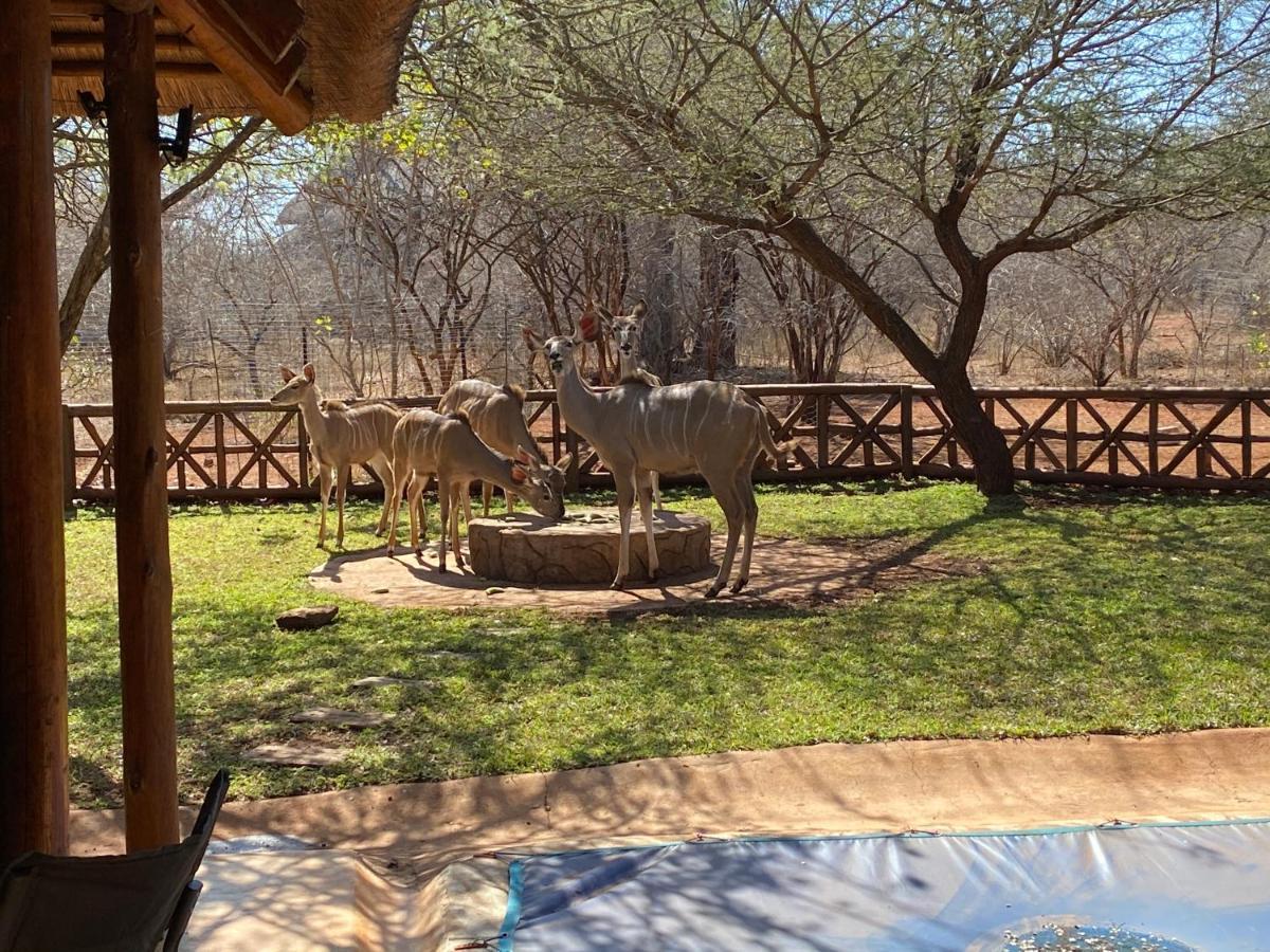 Genet House Holiday Home Marloth Park Esterno foto