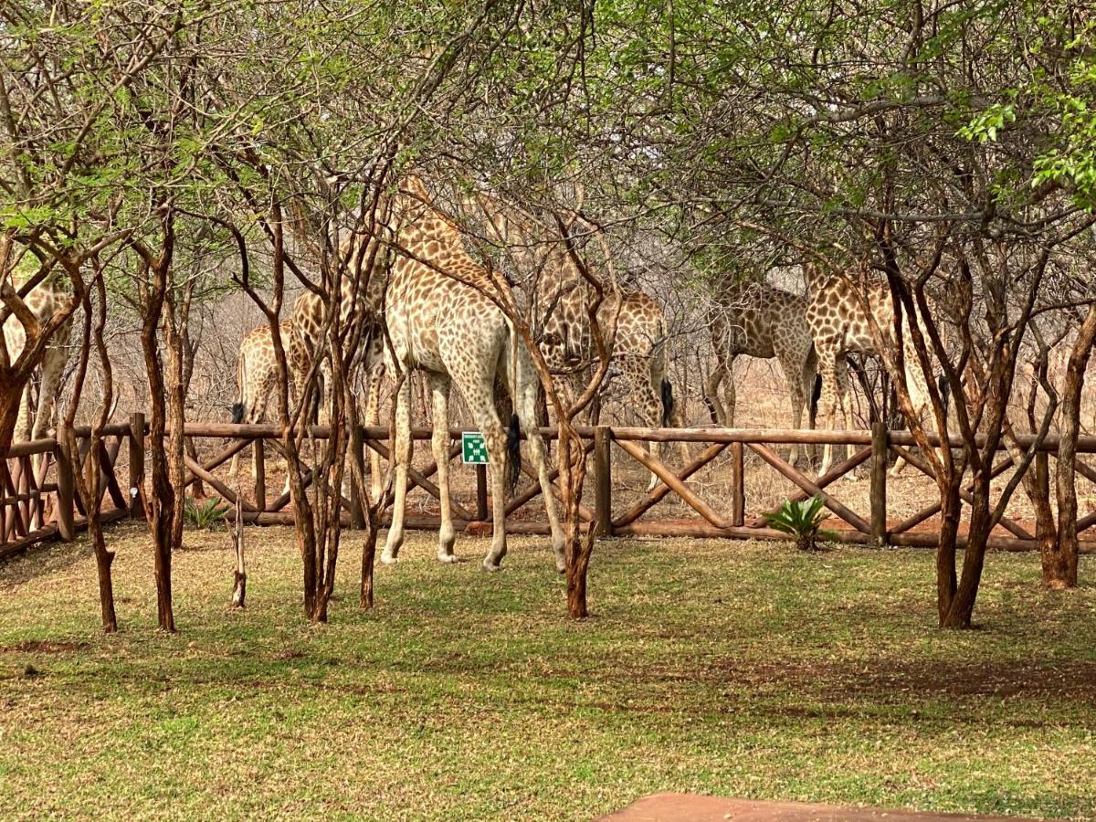 Genet House Holiday Home Marloth Park Esterno foto