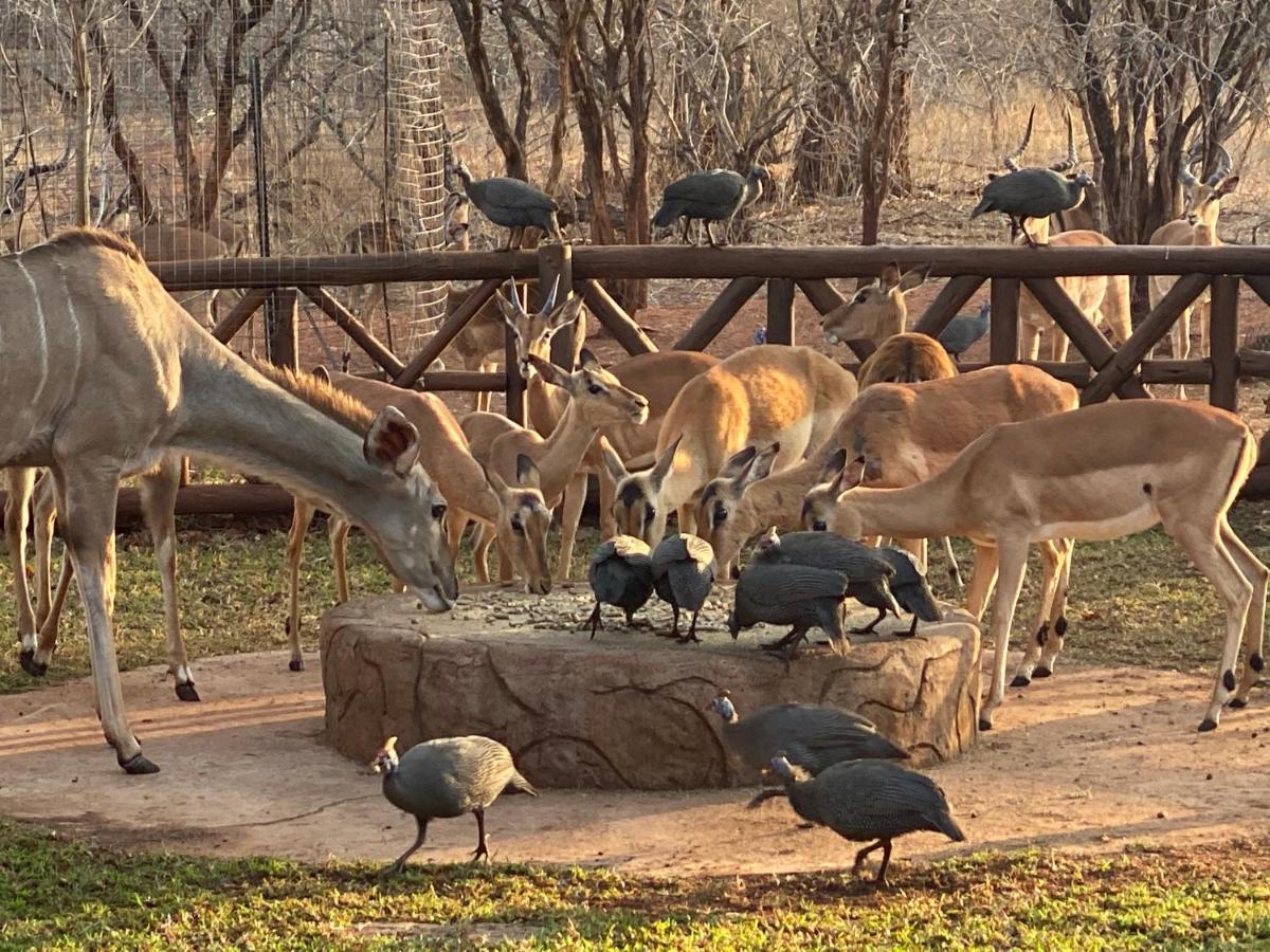 Genet House Holiday Home Marloth Park Esterno foto
