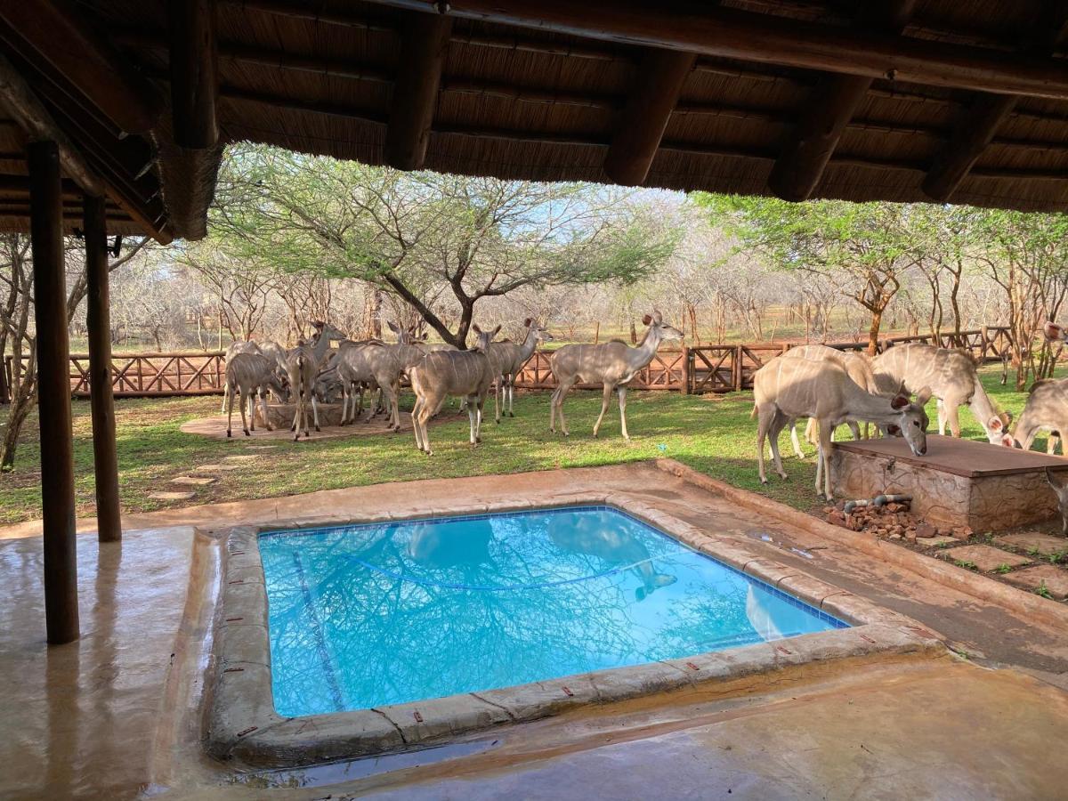 Genet House Holiday Home Marloth Park Esterno foto