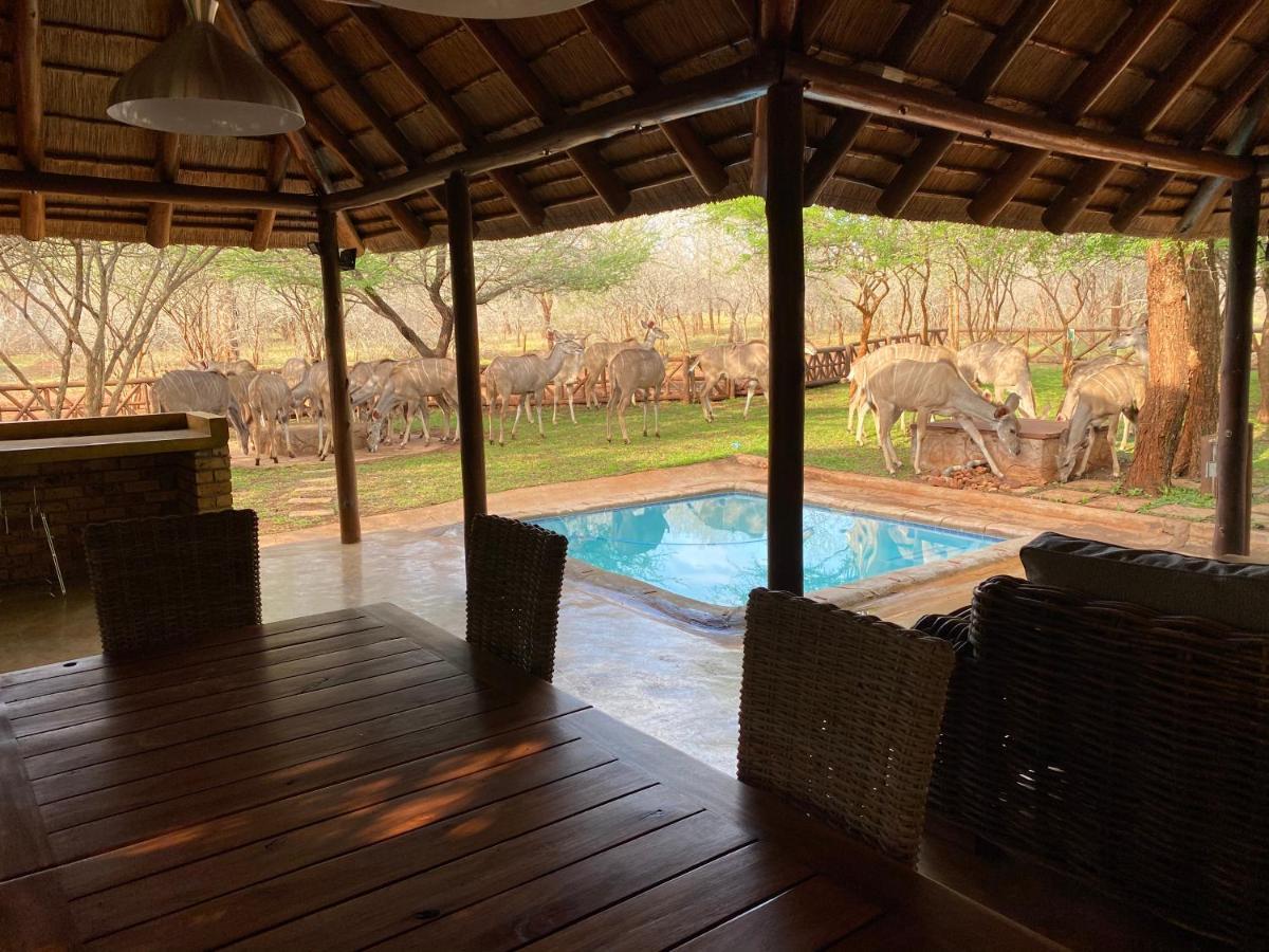 Genet House Holiday Home Marloth Park Esterno foto
